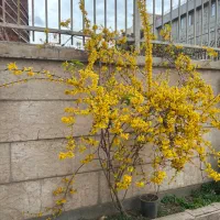 حسابدار یا صندوقدار