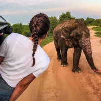 تور سریلانکا از شیراز 8 روزه