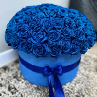 گل روبانی (گل جاویدان)|گل و گیاه طبیعی|یزد, |دیوار