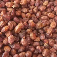 خرمای خاصویی