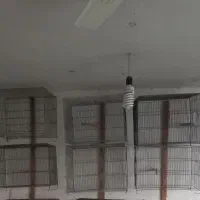 قفس پرنده