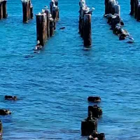 دستشویی فرنگی نو