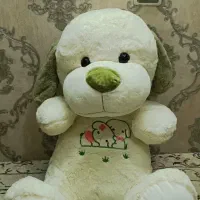 عروسک نو با اتیکت