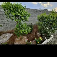 مزایده خونه باغ ویلایی مازندران