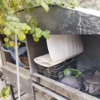 وسایل ساندویچی|فروشگاه و مغازه|سراوان, |دیوار