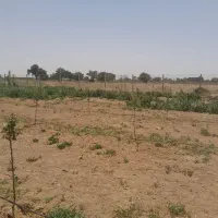 باغچه نقلی فنس شده ۷۵۰ متری تاکستان|فروش زمین و ملک کلنگی|کرج, کرج نو|دیوار