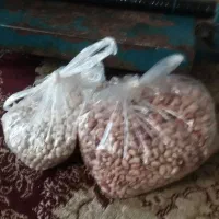 مقداری لوبیاچیتی محلی