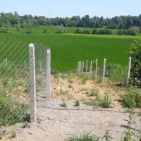 فروش زمین کشاورزی شالیزار