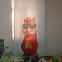 فرش|فرش|پاکدشت, پاکدشت (مامازند)|دیوار