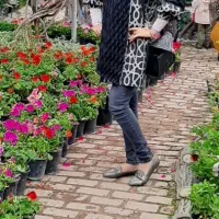 مانتو و لباس مجلسی