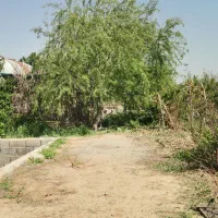 فروش باغچه مشجر 6 ساله در پیشک 3 ماهدشت