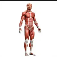 رگ گیری ،درمان درد های عضلانی و ماساژ