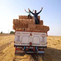 کاه سفال  خوزستان