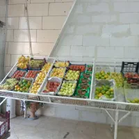 واگذاری میوه فروشی یااجاره مغازه|اجارهٔ مغازه و غرفه|کرمان, |دیوار