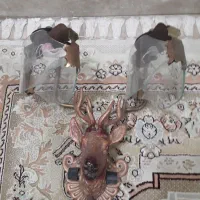 لوستر گازی دیواری|لوستر و چراغ آویز|اهواز, باغ شیخ|دیوار