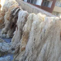 پشم شسته شده درشت