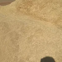 کاه .کاه گندم .در دیواندره|لوازم جانبی حیوانات|سارال, |دیوار