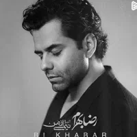 کنسرت رضا بهرام