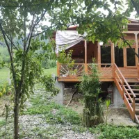 سازه چوبی طرح کلبه وسط باغ چای باتمام امکانات۳۶