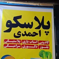 فروشنده خانم و حسابدار