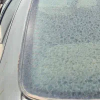 پژو آردی