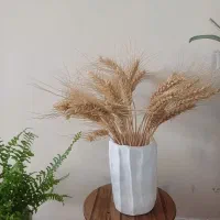 گلدان رو میزی کاملا نو  ۱۰۰ تومن