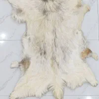 پوست گوسفند طبیعی