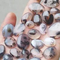 نگین عقیق..شجرباباقوری.فقط عمده