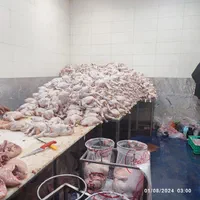قطعه بندی مرغ|استخدام خدمات فروشگاه و رستوران|سهند, |دیوار