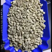 وارد کننده ،عمده فروش دانه های سبز و رست شده