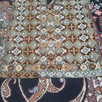 تعدادی زی