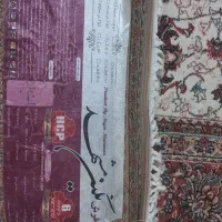 فرش شگی و فرش ۶ متری|فرش|کرمانشاه, |دیوار