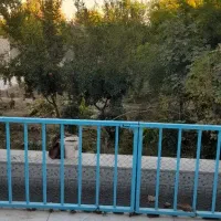 اجاره روزانه خانه باغ مهریز|اجارهٔ کوتاه‌مدت ویلا و باغ|مهریز, |دیوار