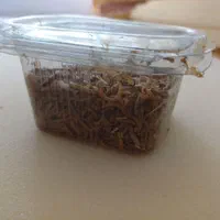 کرم میلورم زنده و خشک|لوازم جانبی حیوانات|یزد, |دیوار