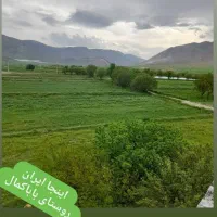 کارگر کشاورزی و دامداری
