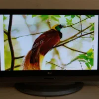 تلوزیون LCD  LG اینچ ۴۲|تلویزیون و پروژکتور|نهاوند, |دیوار