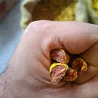 پخش عمده زردچوبه قلم و پودر|عمدهفروشی|مرند, |دیوار