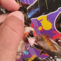 سهره سر سیاه استان فارسی|پرنده|شیراز, کوشک میدان|دیوار