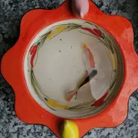 ماهی قرمز عید