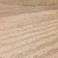 فروش کود مرغی و گاوی پوسیده، آماده مصرف