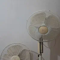 دوعدد پنکه
