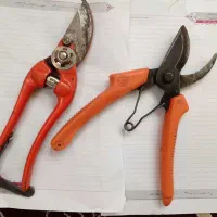 قیچی باغبانی