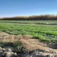 فروش زمین به متراژ ۱۵۰۰ متر