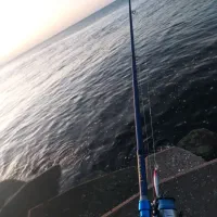 لنسر.چوب و چرخ ماهیگیری