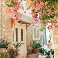 واحد-بالای-ویلایی