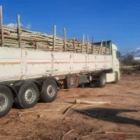 انواع چوب صنوبر.گردو.بید.وانواع چوب میوه