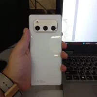 داریا باند امارات