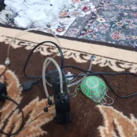 آکواریم|لوازم جانبی حیوانات|روانسر, |دیوار
