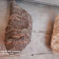 سنگ طبیعی آکواریوم|ماهی|کرج, کوی امامیه|دیوار