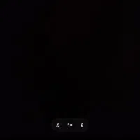 ۹۱۹ دائمی